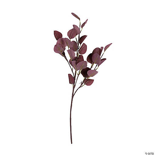 Burgundy Eucalyptus Stems - 2 Pc.