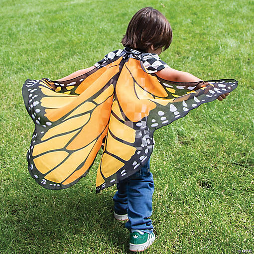 Butterfly Wings: Orange