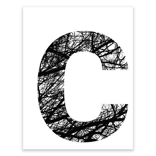 BW Tree Branches Letter C 8.5x11