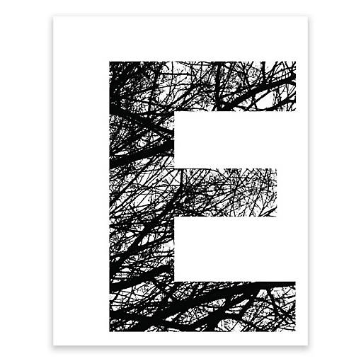 BW Tree Branches Letter E 8.5x11
