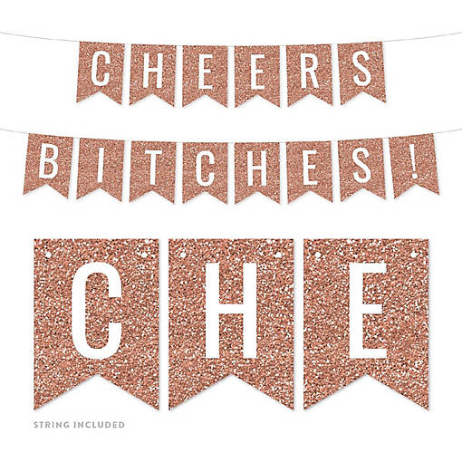 Cheers Bitches 4x5.5IN Banner