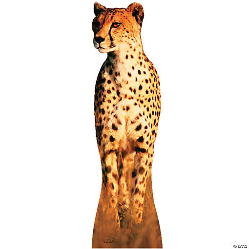 Cheetah Cardboard Stand-Up