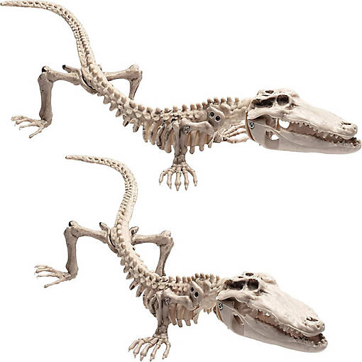 CROCODILE HALLOWEEN SKELETON 2 PACK 20