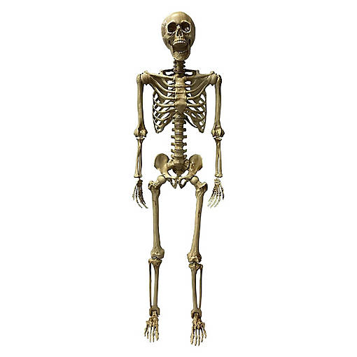 Deluxe Poseable Skeleton Halloween Decoration
