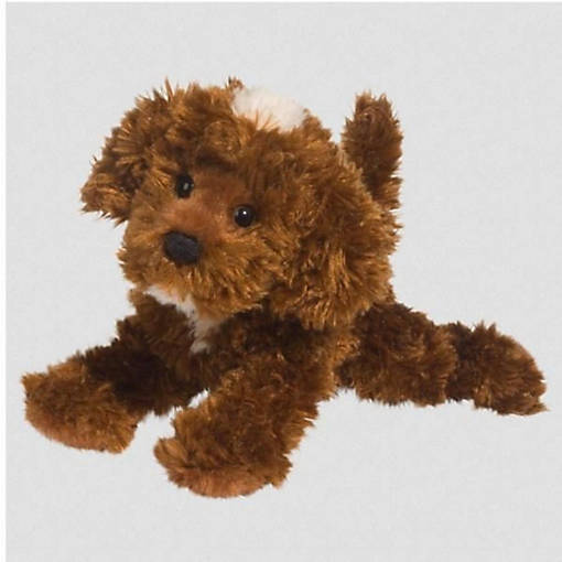 Douglas Bosco Choc Labradoodle