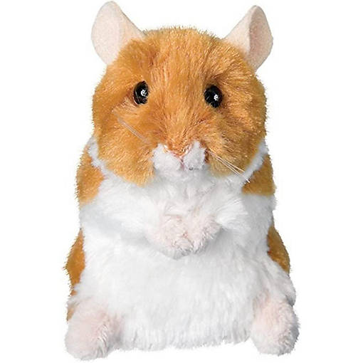 Douglas Brushy Hamster