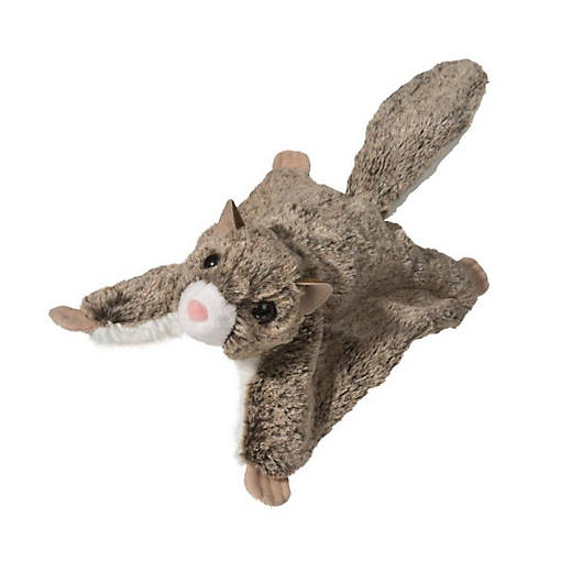 Douglas Jumper Flying Squirrel