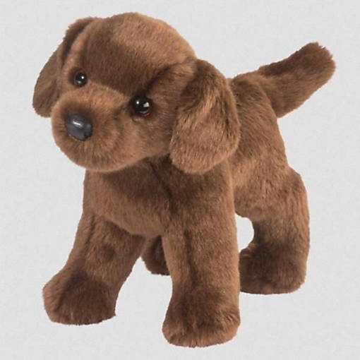 Douglas Tucker Chocolate Lab