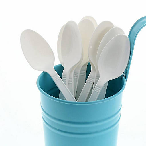 Edge Collections  - White Polypropylene Teaspoon!