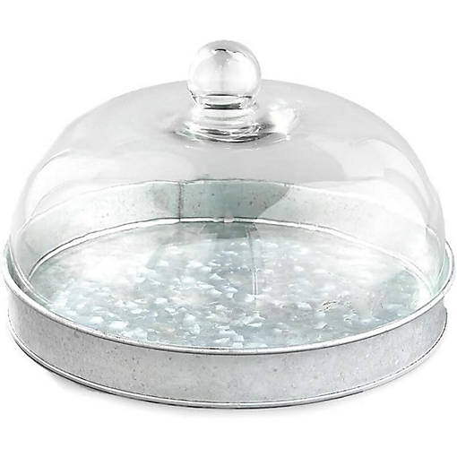 Elegant Galvanized Metal and Glass Cake Dome Server