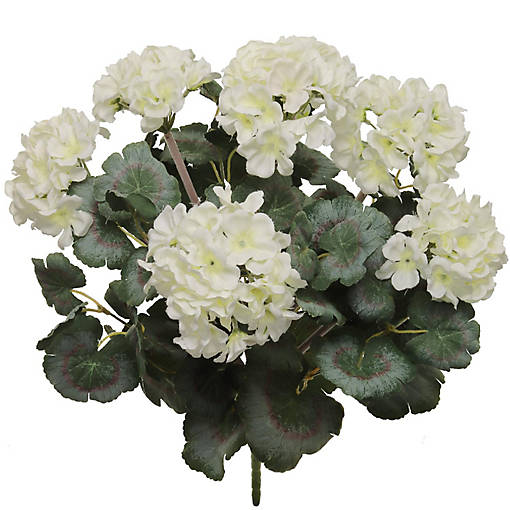 Elegant White 18"Geranium Bush