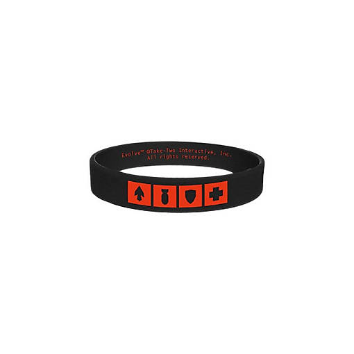 Evolve "Classes" Silicone Wristband