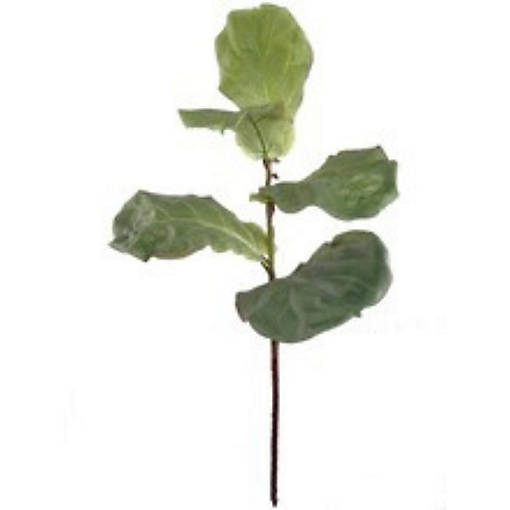Fiddle Leaf Tree Branch Spray: 36-Inch