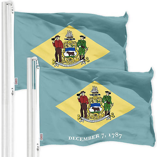 G128 3X5Ft 2Pk Delaware 150D Polyester Flag