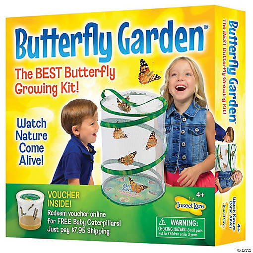 Insect Lore Butterfly Garden&amp;#174; Growing Kit