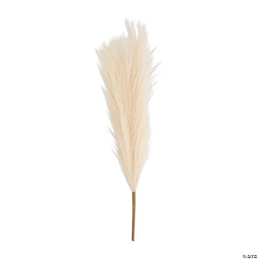 Ivory Pampas Grass &amp;#8211; 6 Pc.