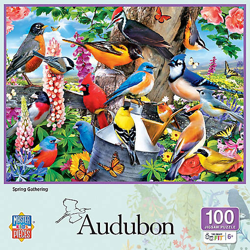 MasterPieces Audubon - Spring Gathering 100 Piece Jigsaw Puzzle