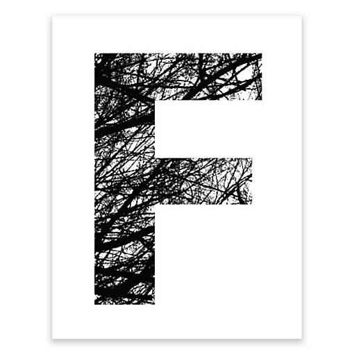 Monogram Tree Branch F 8.5x11in
