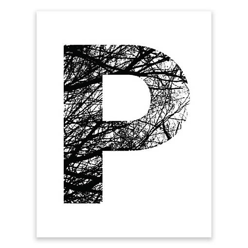 Monogram Tree Branch P 8.5x11in