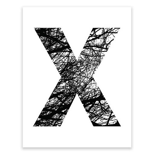 Monogram Tree Branch X 8.5x11in