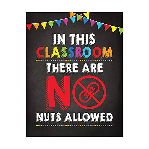 No Nuts Allowed Classroom 8.5x11in