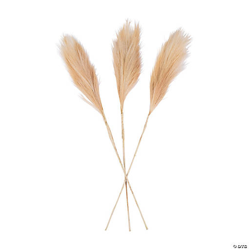 Pampas Grass - 3 Pc.