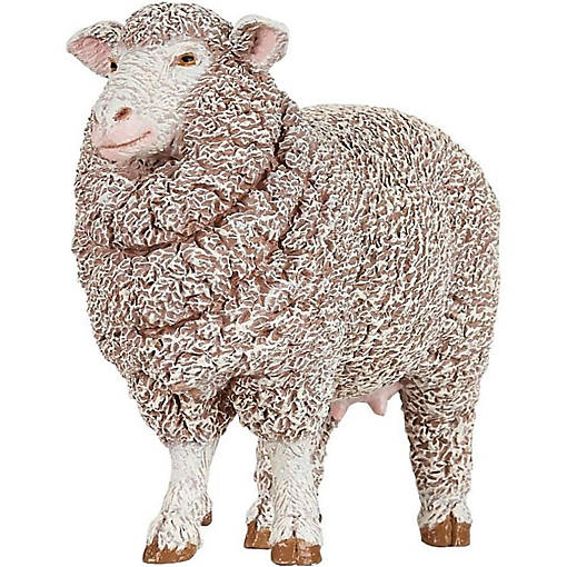 Papo Merinos Ewe
