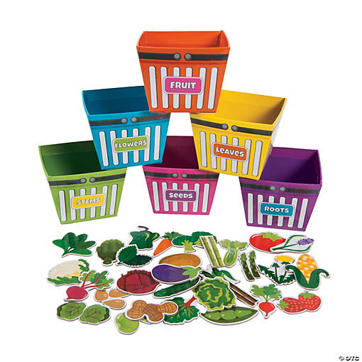 Plant Parts We Eat Sorting Boxes