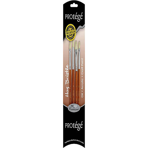 Protege Brush Set Hog Bristle Short Handle 4pc