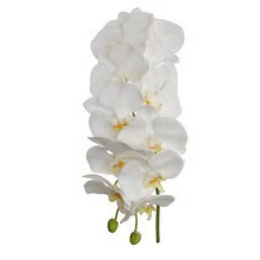 Real Touch White Phalaenopsis Orchid