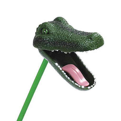 Safari Alligator Snapper