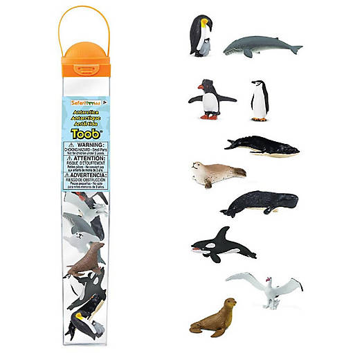 Safari Antarctica TOOB