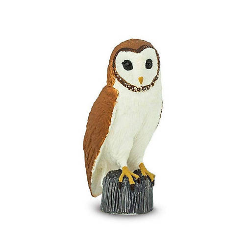 Safari Barn Owl