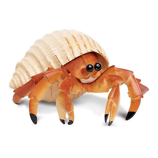 Safari Hermit Crab Toy