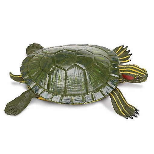 Safari Red,Eared Slider Turtle Toy