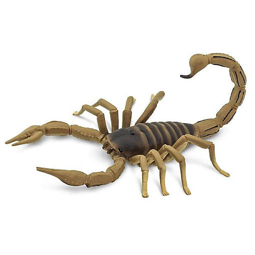 Safari Scorpion Toy