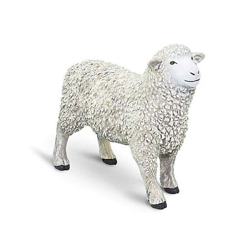 Safari Sheep