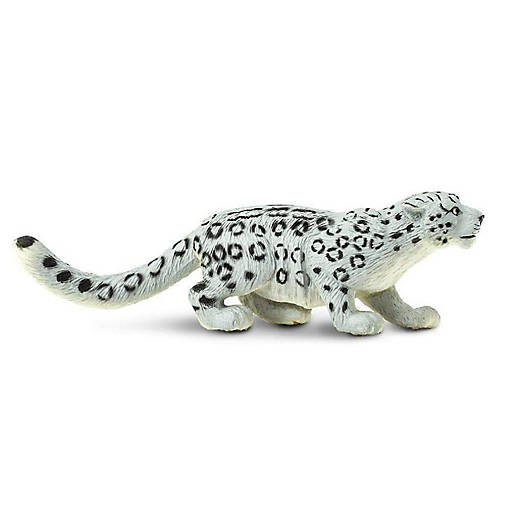 Safari Snow Leopard