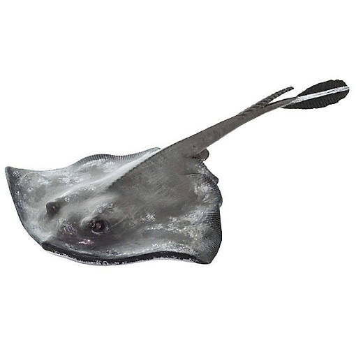 Safari Sting Ray Toy