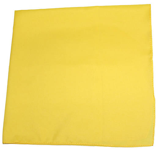 Set of 3 Solid 100% Polyester Unisex Bandanas