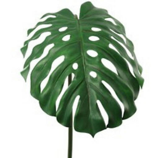 Set of 3: Split Philodendron Leaf Stems