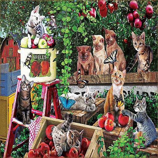 Sunsout Apple Harvest 500 pc  Jigsaw Puzzle