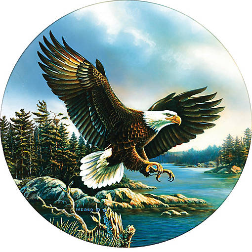 Sunsout Eagle Landing 500 pc  Jigsaw Puzzle