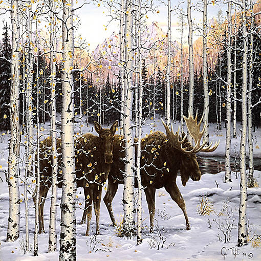 Sunsout Forest Twilight 500 pc  Jigsaw Puzzle