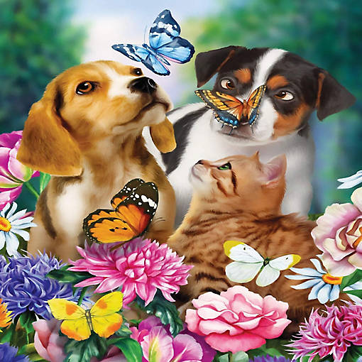 Sunsout Nature Explorers 300 pc  Jigsaw Puzzle