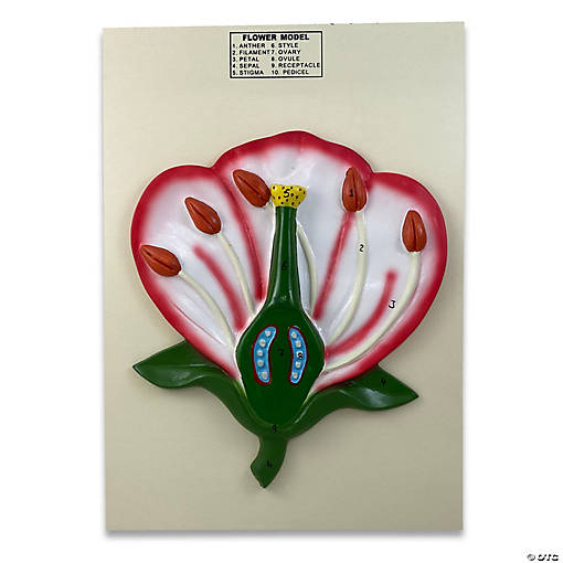 Supertek 3-D Flower Model