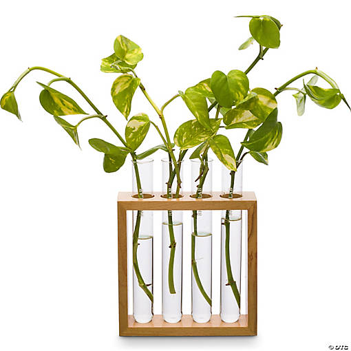 Supertek Square Plant Holder