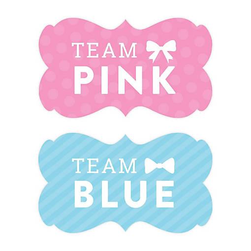 Team Pink Team Blue Labels 36-Pack