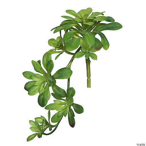 Vickerman 11" Artificial Green Aeonium Spray Includes 3 sprays per pack