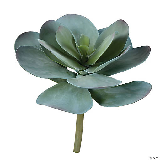 Vickerman 12" Artificial Blue Succulent Stem